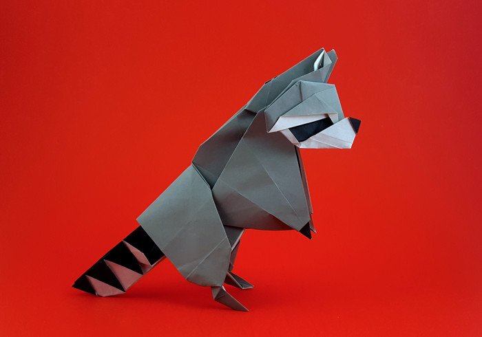 Origami Raccoon by Kyohei Katsuta folded by Gilad Aharoni