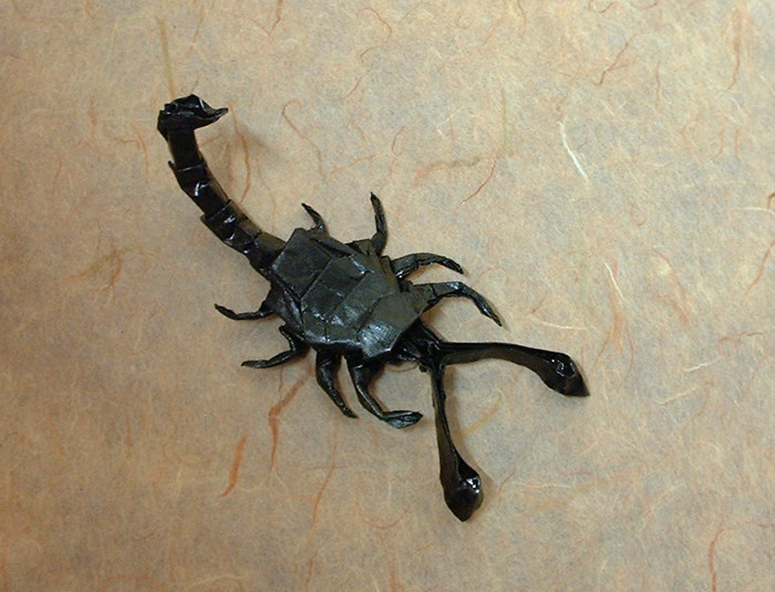 Origami Scorpion by Alfredo Giunta folded by Gilad Aharoni