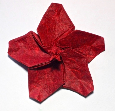 Origami Hibiscus by Derek McGann on giladorigami.com