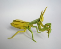 Origami Praying mantis by Satoshi Kamiya on giladorigami.com