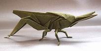 Origami Oriental longheaded locust by Seiji Nishikawa on giladorigami.com