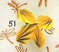 Origami Four leaf ornament by Anita F. Barbour on giladorigami.com