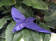 Origami Bird - flying by Mark Bolitho on giladorigami.com