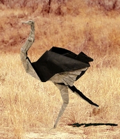 Origami Ostrich by Lionel Albertino on giladorigami.com