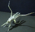 Origami Mosquito by Tsuda Yoshio on giladorigami.com