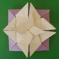 Origami Coaster tato by Jorge E. Jaramillo on giladorigami.com