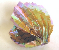 Origami Conch shell by Luca Massini on giladorigami.com