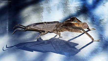 Origami Grasshopper by Kim Jin Woo on giladorigami.com