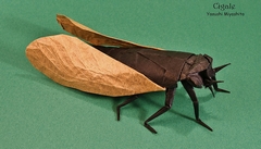 Origami Cicada by Miyashita Yasushi on giladorigami.com