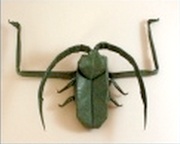 Origami Acrocinus Longimanus by Lionel Albertino on giladorigami.com