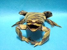 Origami Toad by Kosuge Akihiro on giladorigami.com