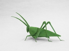 Origami Katydid HP by Robert J. Lang on giladorigami.com