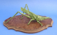 Origami Longheaded locust by Satoshi Kamiya on giladorigami.com