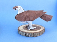 Origami Osprey by Quentin Trollip on giladorigami.com