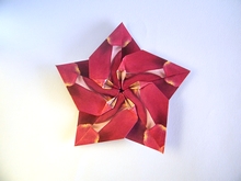 Origami 2 sided Sakura Star by Ali Bahmani on giladorigami.com