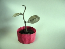 Origami Sprout by Riccardo Foschi on giladorigami.com