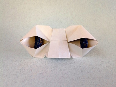 Origami Eyes by Eric Kenneway on giladorigami.com