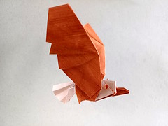 Origami Bald eagle by Jiahui Li (Syn) on giladorigami.com