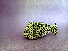 Origami Boxfish by Matsuno Yukihiko on giladorigami.com