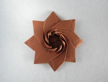 Origami Iris star by Dasa Severova on giladorigami.com