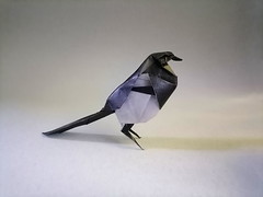 Origami Magpie by Edu Solano Lumbreras on giladorigami.com