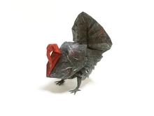 Origami Turkey by Kyohei Katsuta on giladorigami.com