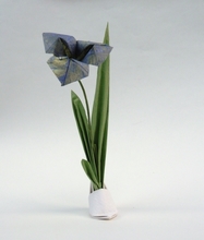 Origami Iris with leaves by Sanja Srbljinovic Cucek on giladorigami.com