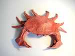 Origami Blue crab by Marc Kirschenbaum on giladorigami.com