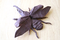 Origami Hercules beetle - flying by Shuki Kato on giladorigami.com