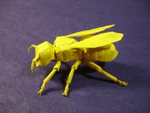 Origami Yellow Jacket by Robert J. Lang on giladorigami.com