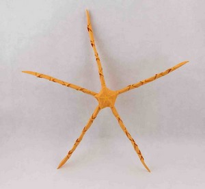 Origami Brittle star by Manuel Sirgo on giladorigami.com