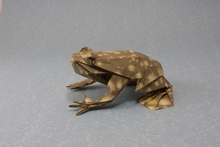 Origami Bullfrog by Quentin Trollip on giladorigami.com