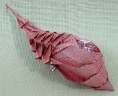 Origami Shell by David Derudas on giladorigami.com