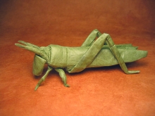 Origami Locust by Robert J. Lang on giladorigami.com