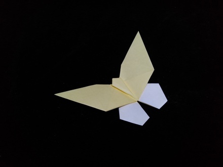 Origami Birdwing butterfly by Fukuyama Tomiyo on giladorigami.com