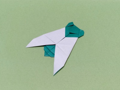 Origami Cicada by Nakamura Keiichi on giladorigami.com