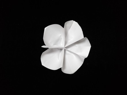 Origami Five-petal flower by Jun Maekawa on giladorigami.com