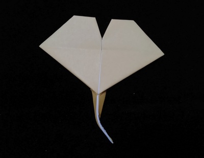 Origami Ginkgo leaf by Taguchi Kenji on giladorigami.com