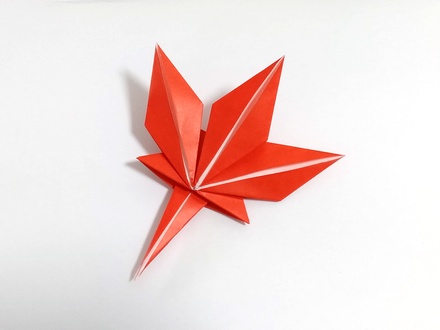 Origami Japanese maple leaf by Nakajima Susumu on giladorigami.com