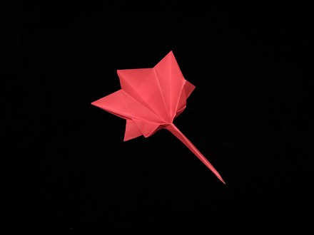 Origami Maple leaf by Yoshihide Momotani on giladorigami.com