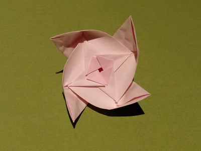 Origami Nuha flower by Oriol Esteve on giladorigami.com