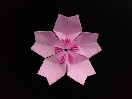 Origami Peach blossom by Kawate Ayako on giladorigami.com