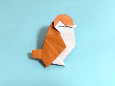 Origami Young bird by Takenao Handa on giladorigami.com