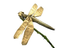 Origami Dragonfly by Satoshi Kamiya on giladorigami.com